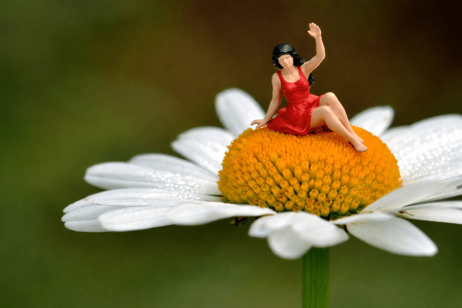 WHO WE ARE Section 3(ADELE) Updated4